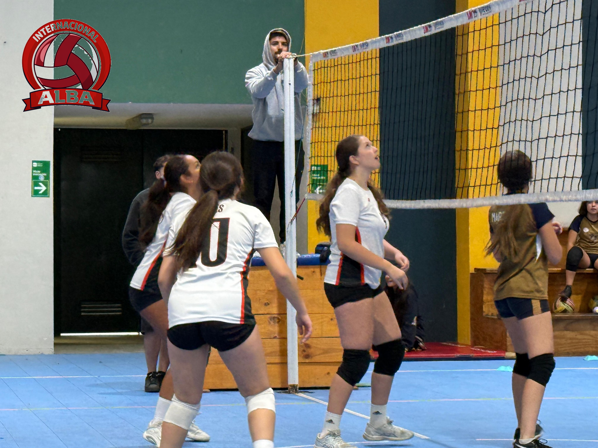 Internacional Alba Voleibol 3.