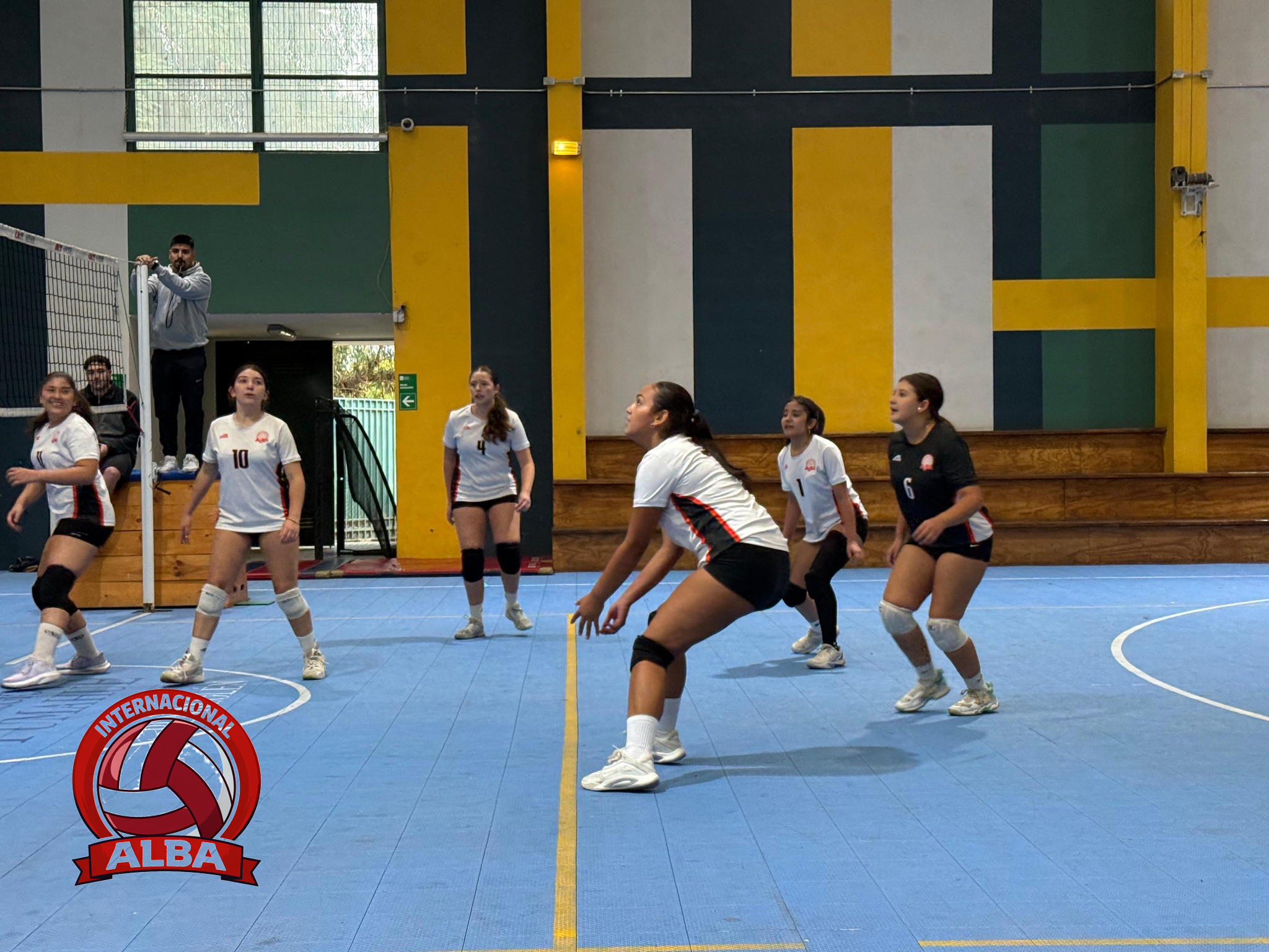 Internacional Alba Voleibol.