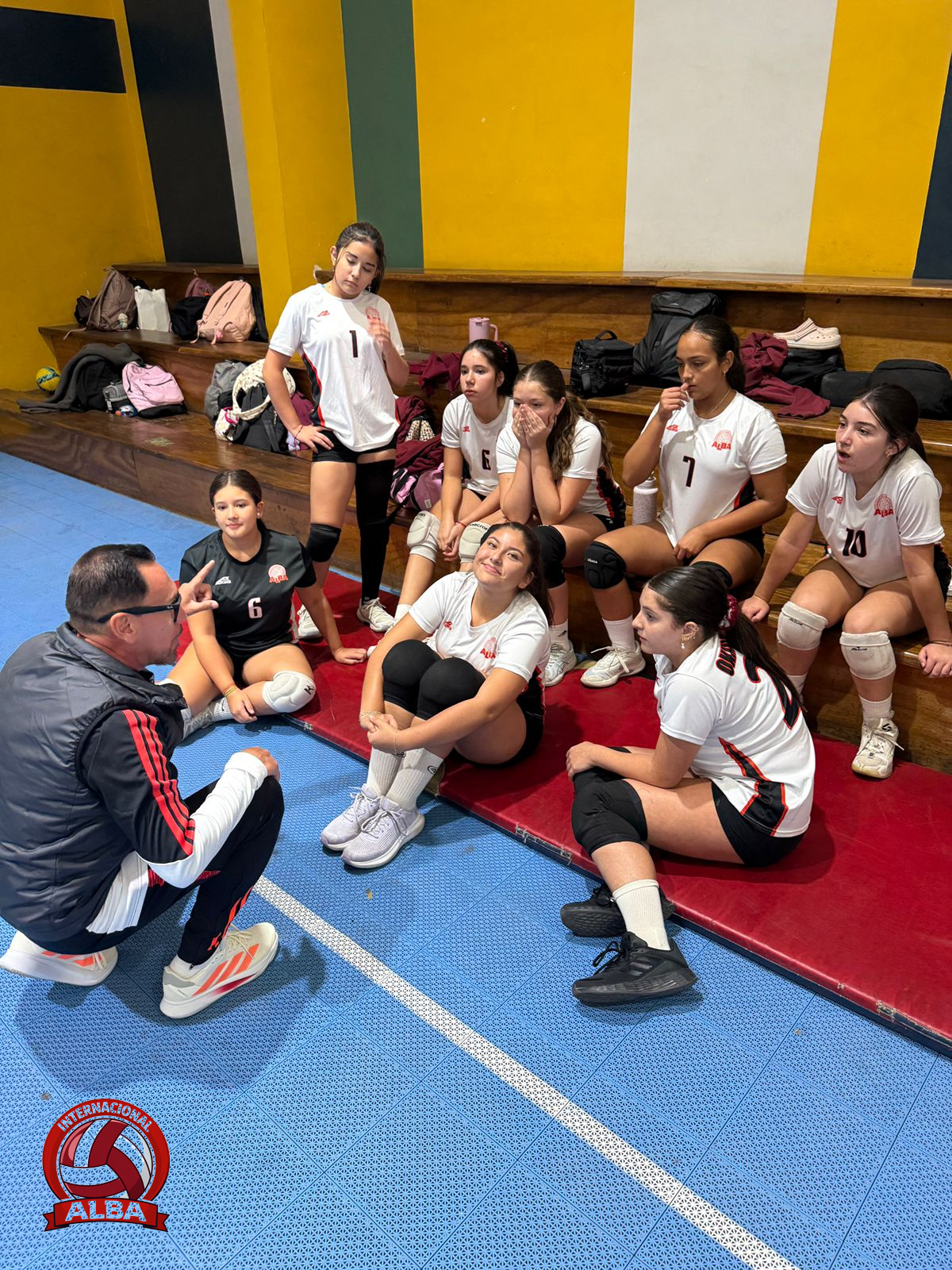 Internacional Alba. Voleibol 5